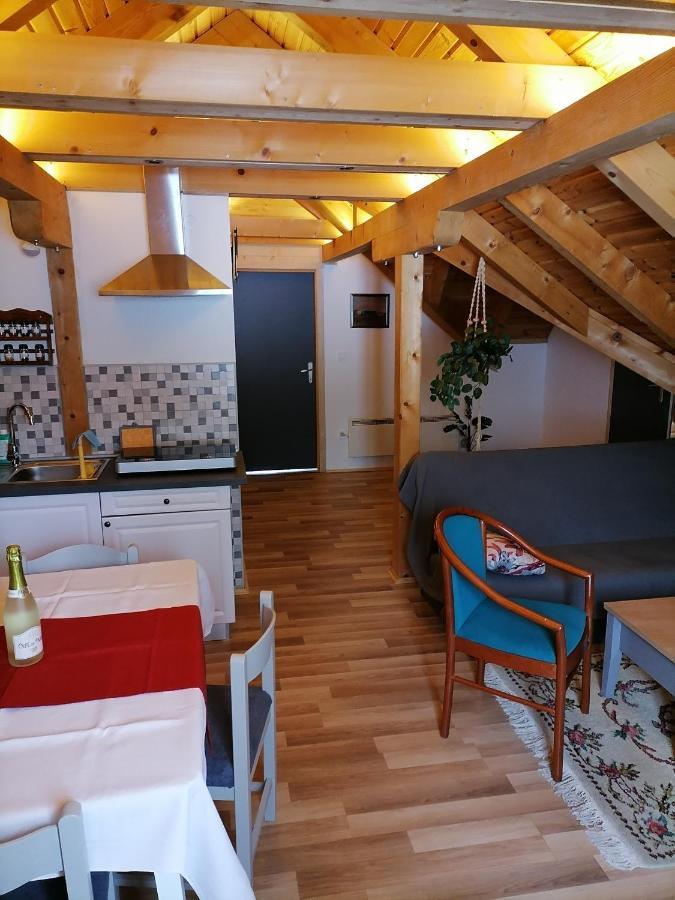 Apartman Tonka Otočac Extérieur photo